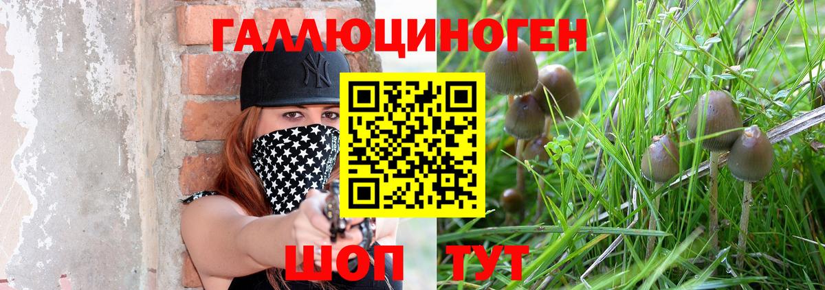 Псилоцибиновые грибы Magic Shrooms Гулькевичи