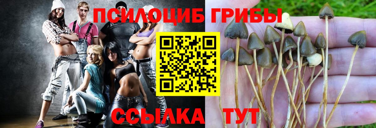 Псилоцибиновые грибы прущие грибы  Вход с VPN  где купить   Галлюциногенные грибы Psilocybine cubensis  Гулькевичи 